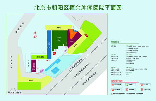 欧美老年黄色大片免费看北京市朝阳区桓兴肿瘤医院平面图